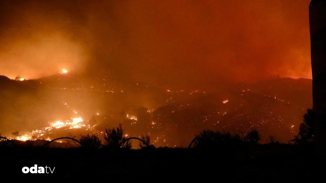 Orman yangınlarında son durum ne