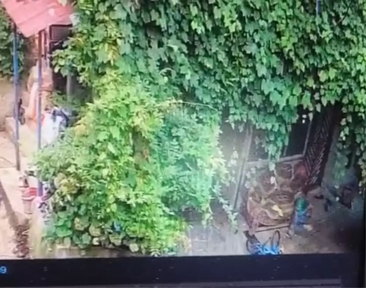 samsunda kucuk cocugun salincakta olumu Vjhe6BKM