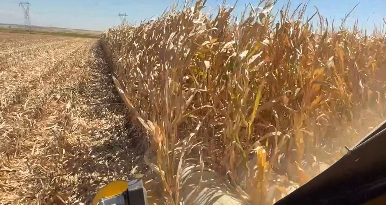 ureticiden erdogana biz bu ulkenin uvey evladi degiliz ijgiTzXD