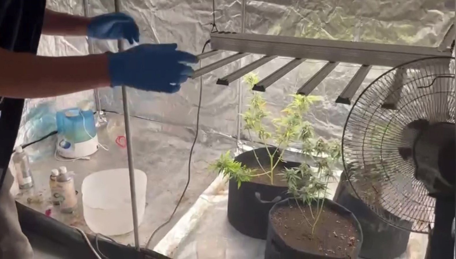 malatyada kilolarca kenevir ele gecirildi auDWVOqi