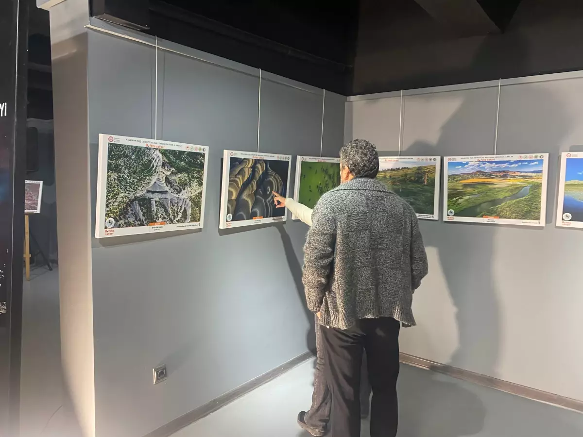 Nallıhan Kuş Cenneti’nde Foto Safari Sergisi Açıldı