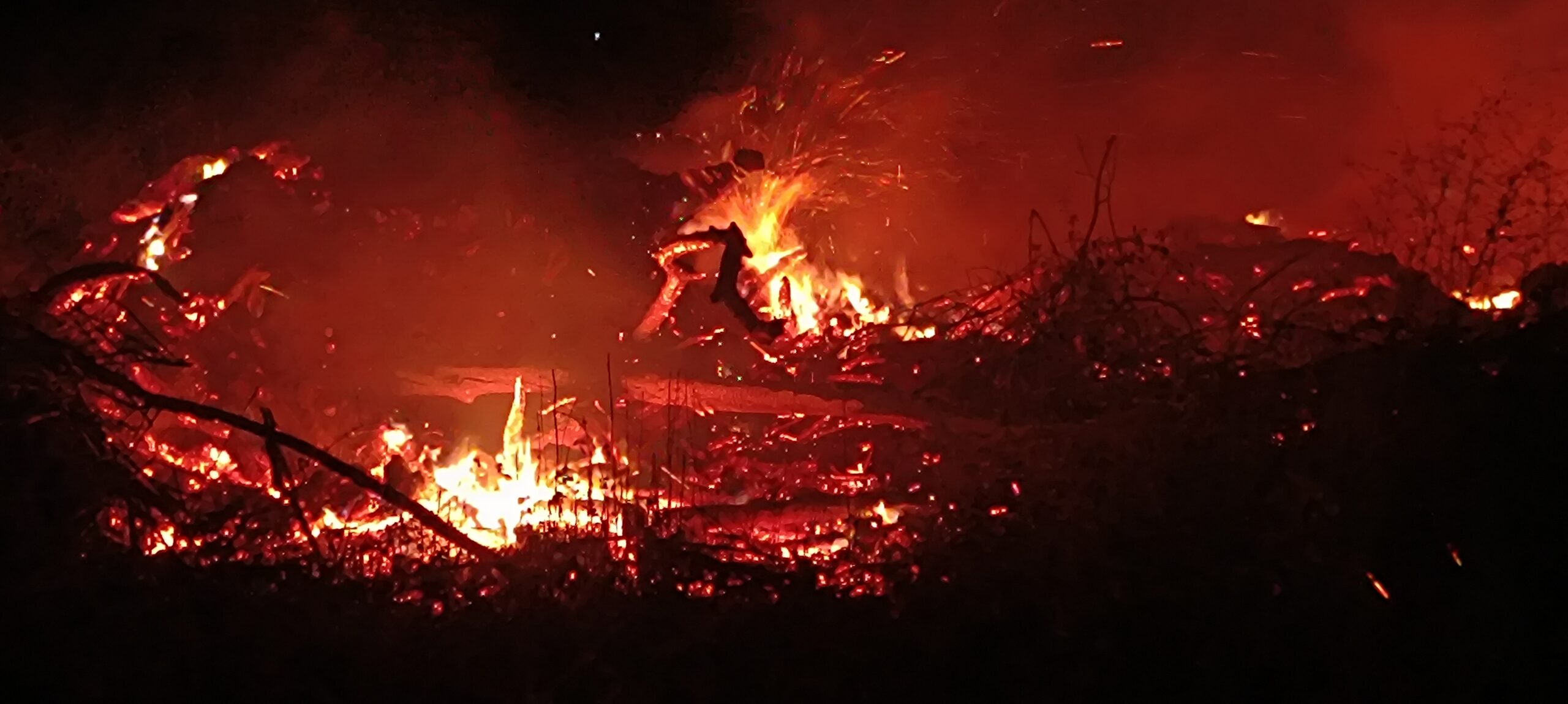 Bilecik’te çiftlik arazisinde yangın
