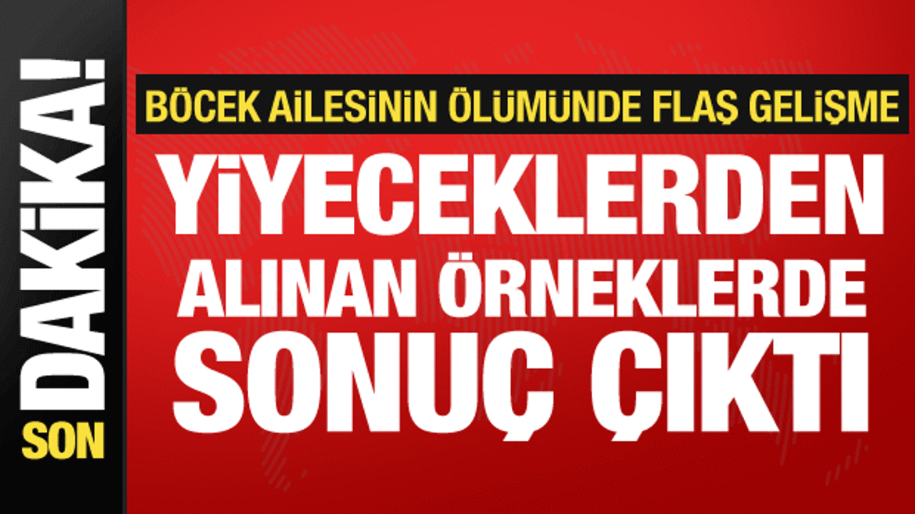 Böcek ailesinin ölümünde yeni gelişme! Rapor ortaya çıktı