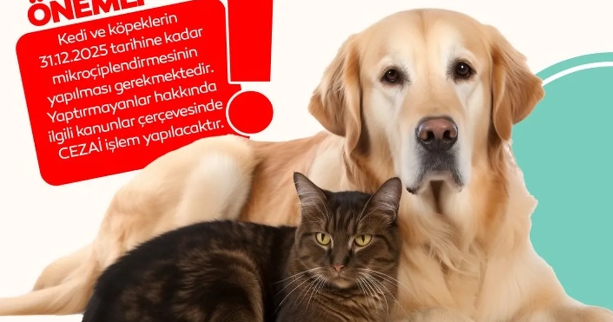 Bursa İnegöl’de evde kedi-köpek besleyenlere mikroçip uyarısı
