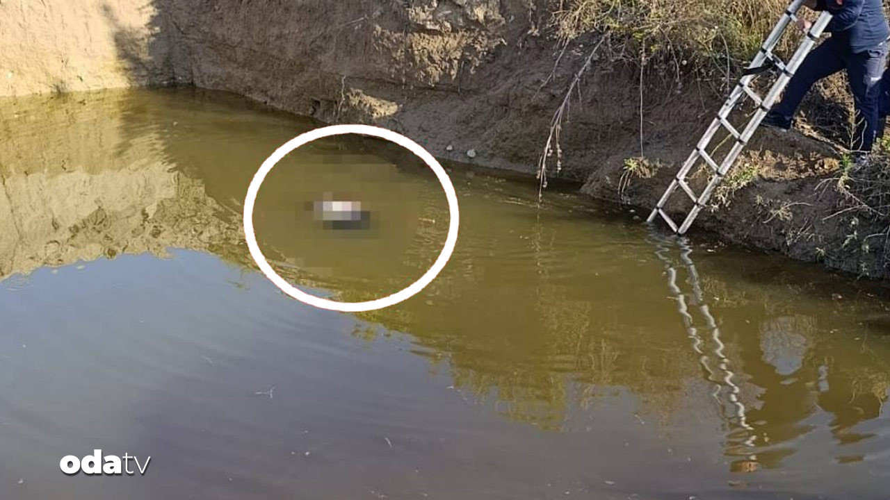 Su çukurunda kadın cesedi bulundu