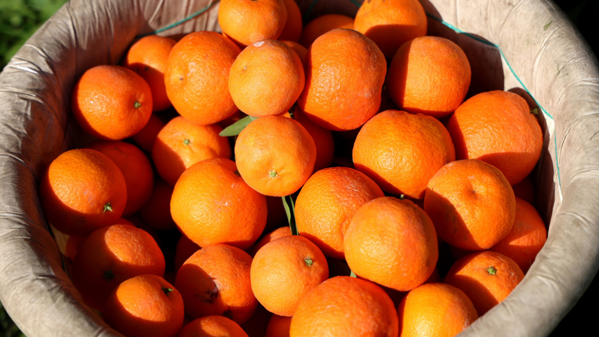 En ucuz meyve seçildi: İşte fiyatı…