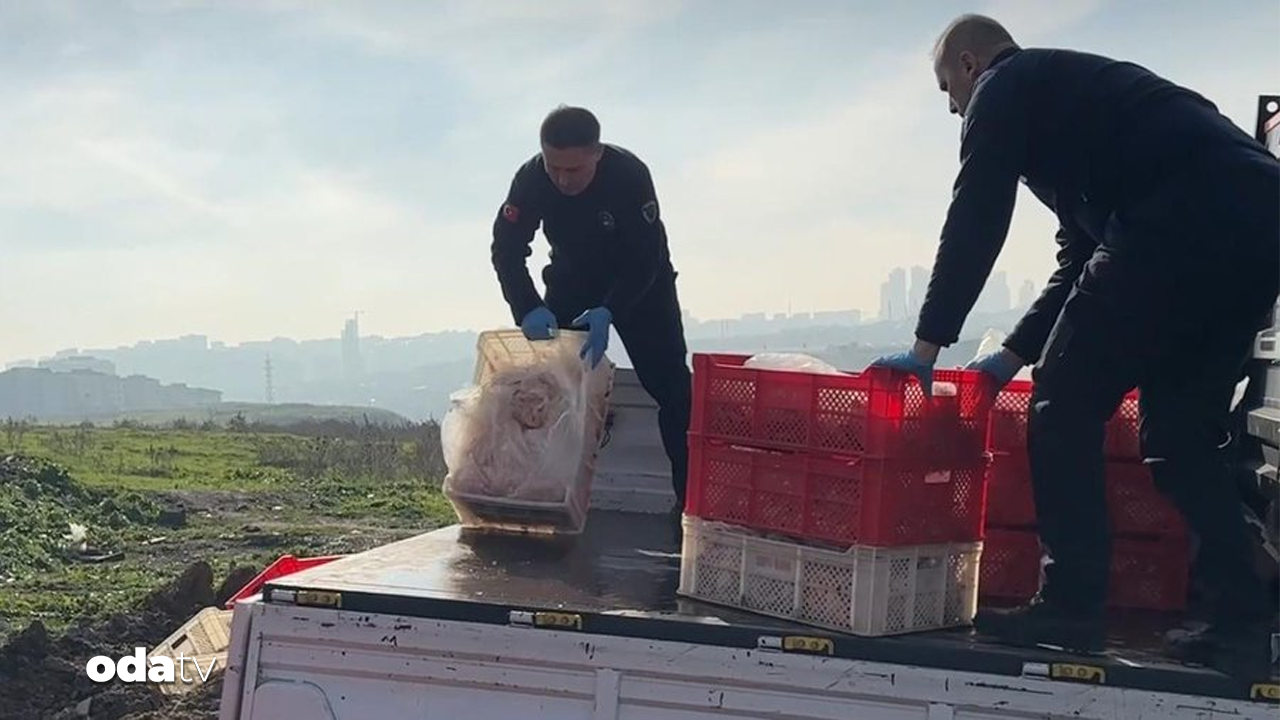 Esenyurt’ta mide bulandıran görüntüler: 1 ton kaçak tavuk eti imha edildi