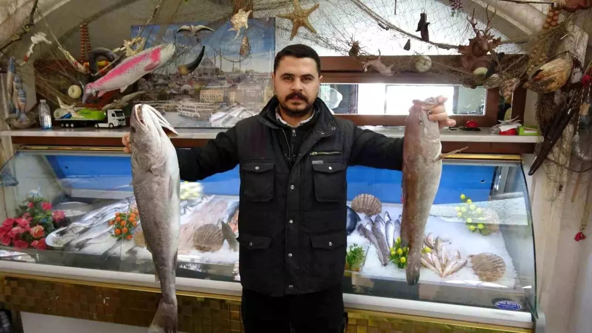 Gaziantep’te Kışın Balık Revaçta