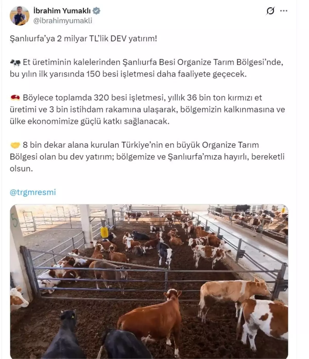 Şanlıurfa’ya 2 Milyar TL’lik Et Yatırımı