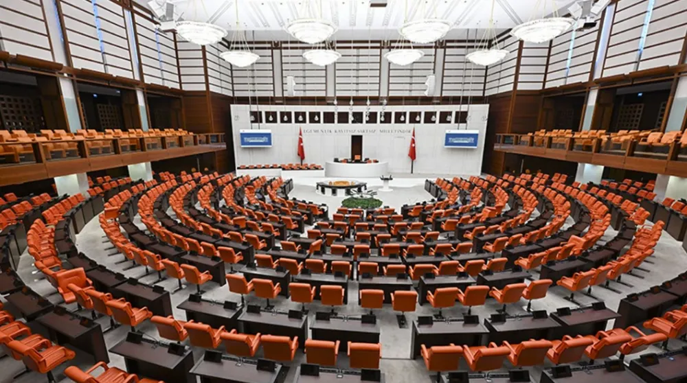 TBMM Dilekçe Komisyonu Raporu Yayınlandı: Ocak Ayında Başvuru Rekoru ve İlginç Talepler!