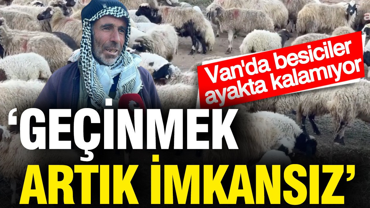 Van’ın Besicilik Krizi: Üreticiler Geçim Sıkıntısı Çekiyor