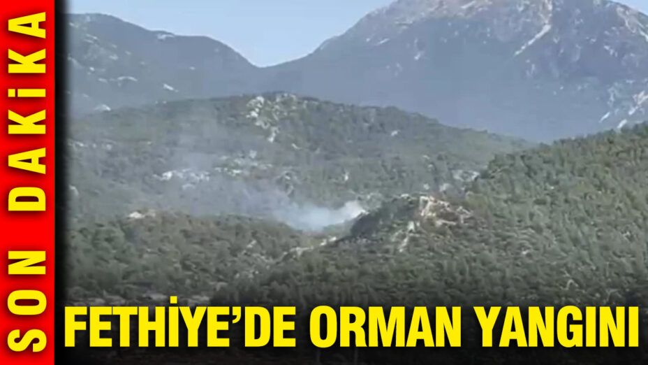 Fethiye’de Orman Yangını Çıktı, Ekipler Mücadele Ediyor